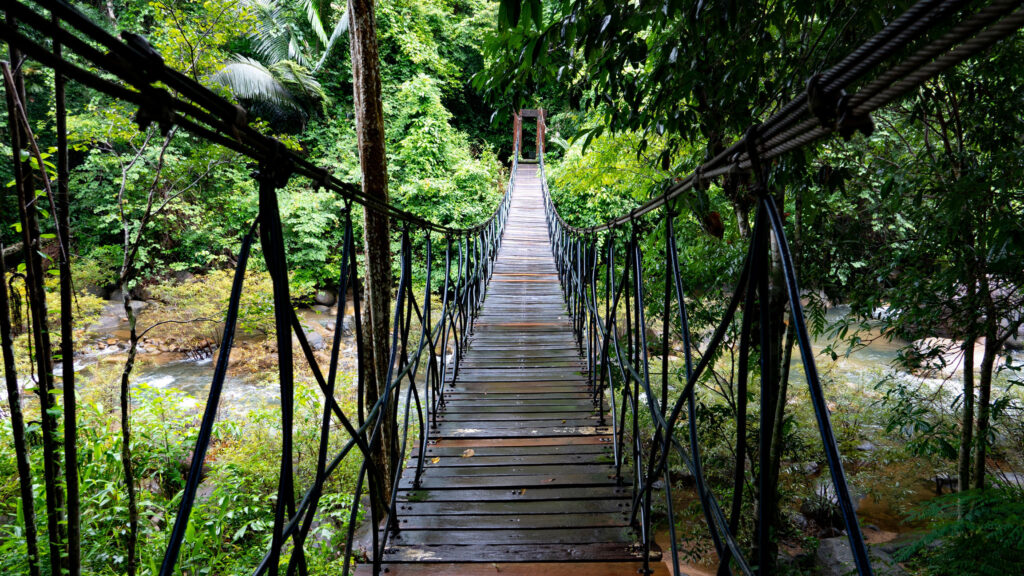 Curiosity acts as a bridge from stress to connection